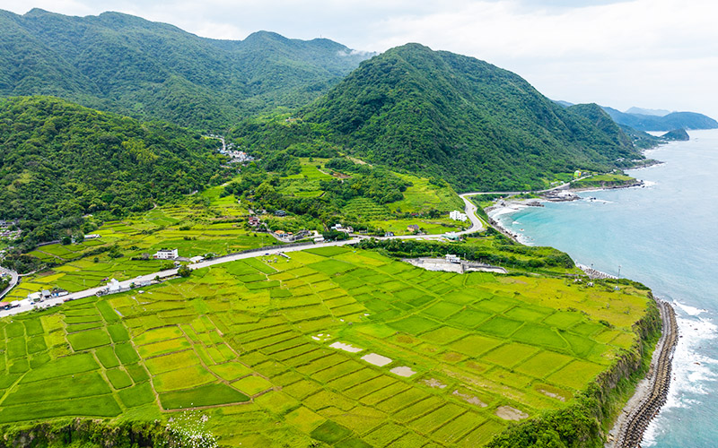 為何要減碳：臺灣2050淨零轉型